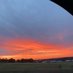 Meet your Posher, Piper